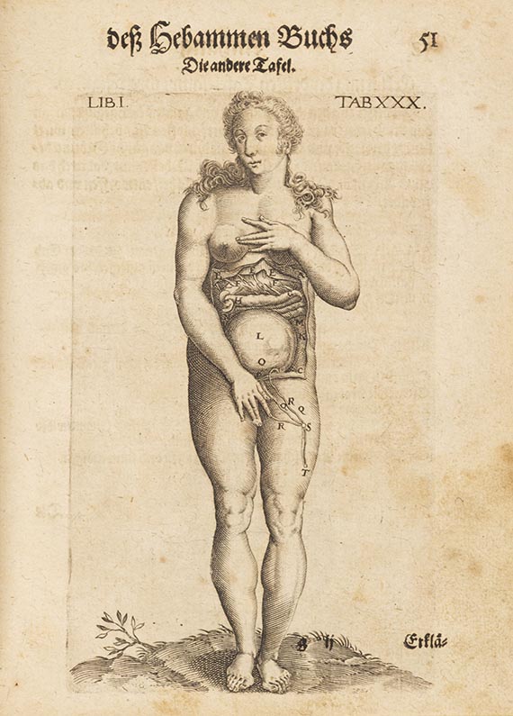 Louise Bourgeois - Hebammen Buch