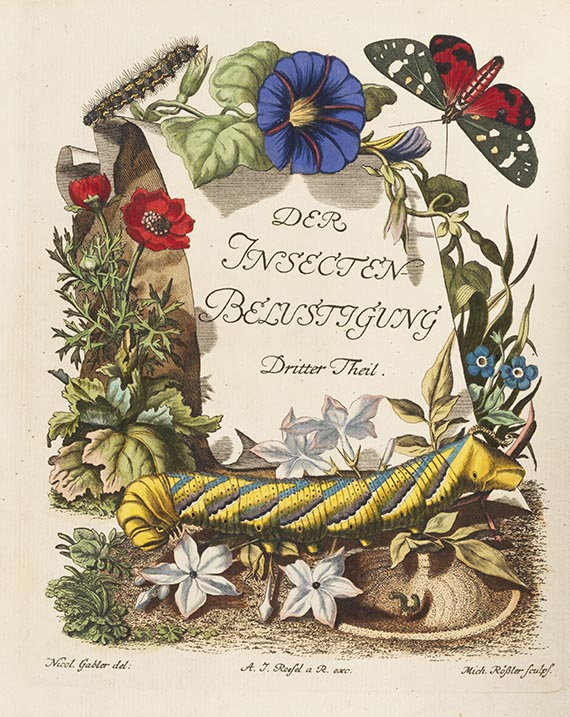 August Johann Rösel von Rosenhof - Insecten-Belustigung