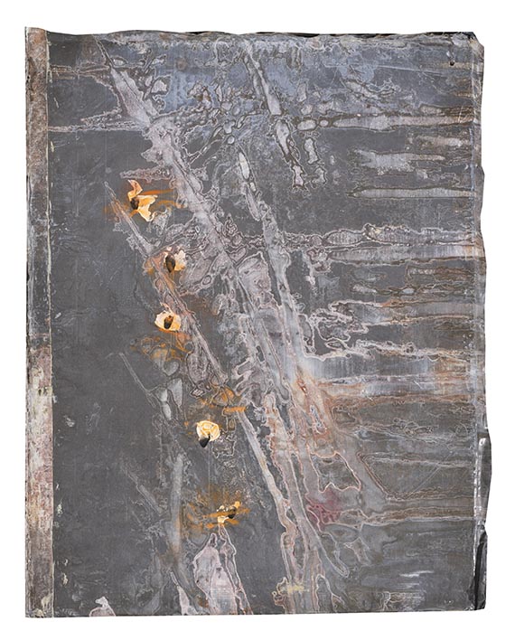 Anselm Kiefer - Blutblume - Autre image