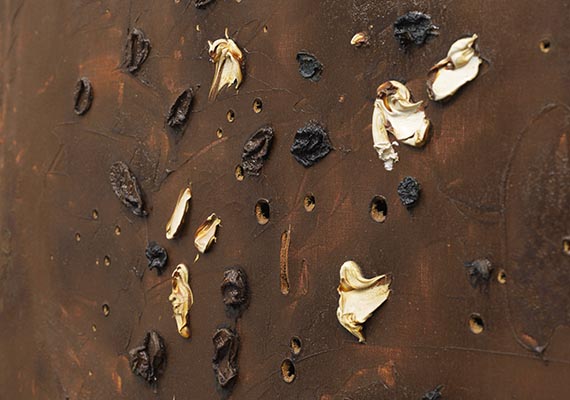 Lucio Fontana - Concetto Spaziale - Autre image