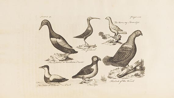 Erich Pontoppidan - The natural history of Norway