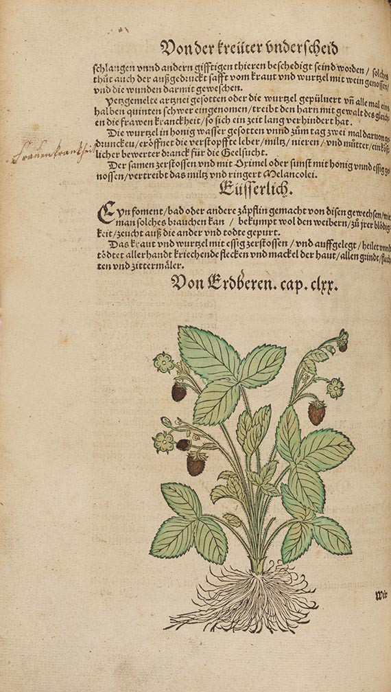 Hieronymus Bock - Kreüterbuch