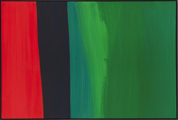 Katharina Grosse - Ohne Titel - Image du cadre
